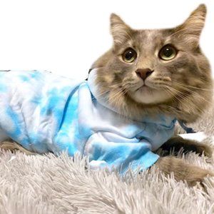 Tie Dye Pet Hoodie